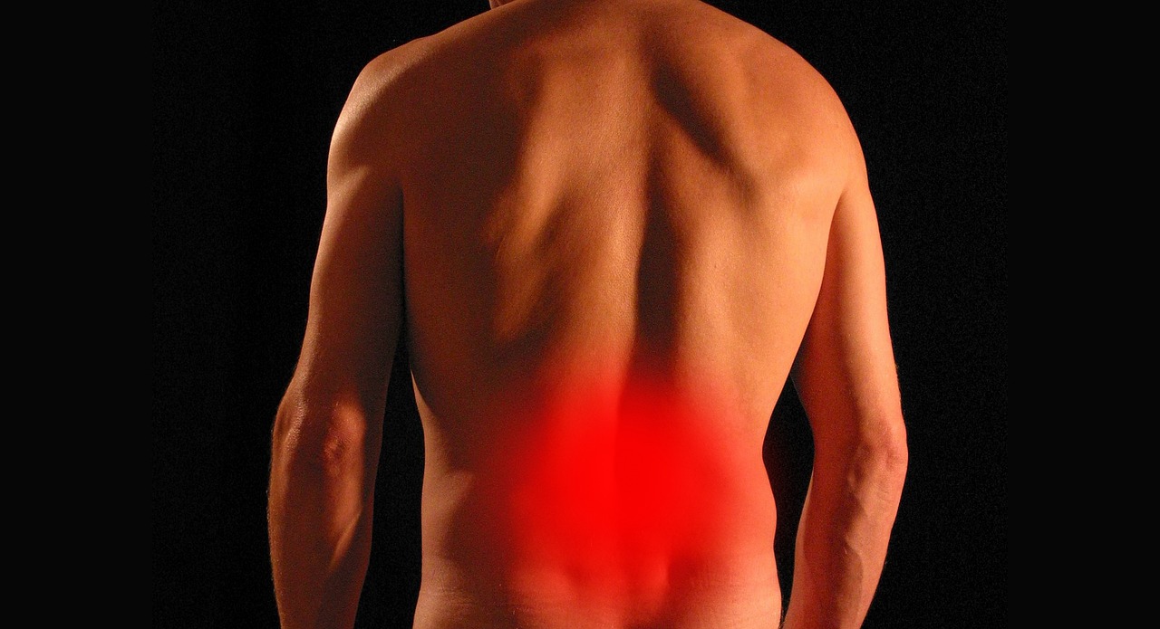 Chiropractor Lower Back Pain